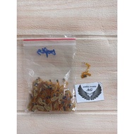 Joycon Nitendo Switch 2 Flexible Cable ZLZR