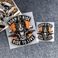 Cat Rider Motorcycle Accessorie Sticker Motorcycle