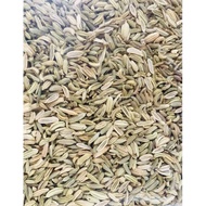 Sweet Fennel Fennel Seed 1 Kg