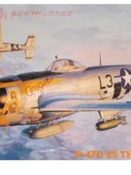 Hasegawa 09140 1/48 P-47D-25 Thunder Bolt