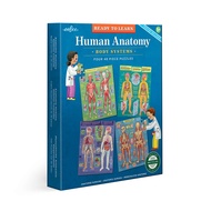 eeBoo Ready to Learn - Human Anatomy 48 Pc Puzzle (Including 4 Sets)