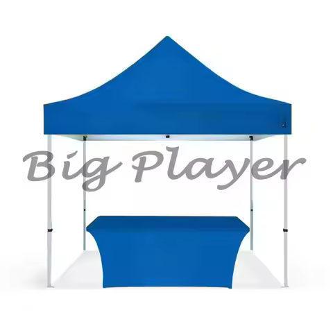 Simple Foldable Outdoor Awning Tent, In Stock 2x2 2x3 3x3 3x4.5 3x6m, Portable Canopy Shelter for Ou