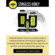 [SG] 13 Honey 850g Bundle Deal / Natural Pure Honey Organic Honey Raw Honey  / Wild Honey Stingless 