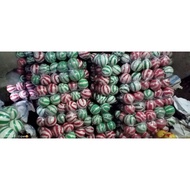 CHILDREN'S PLASTIC BALLS/CHILDREN'S TOY BALLS/PLASTIC BALLS-1pcs