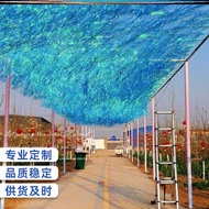 Influencer Corridor View Area Laser Rain Silk Curtain Outdoor Galaxy Sky Curtain Windy Art Photo Pun