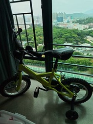 Pony BMX 小童單車