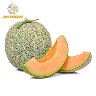 Rock Melon 1.5 KG +-