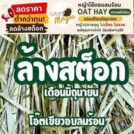 Clearance Sale Timothy Cut Grass 1 Super Premium (Dust Sifter) 700g (Short)/1 kg (Length)/1.2 No Dus