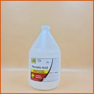 ╯ ☋ △ POWER CLEAN MURIATIC ACID 1G