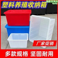 加厚塑料水箱長方形家用儲水桶大容量泡瓷磚養龜養魚桶帶蓋子週轉箱