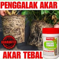Pengalak Akar Plant Root Rooting Hormone Powder Hormon Pertumbuhan