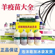 Sheep Triple Four Anti-Vaccine Sheep Acne Vaccine Vaccine Sheep Lamb Fungus Vaccine Vaccine Sheep Va