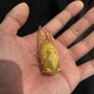 Cicada Berubah menjadi Cicada Kraf Berat Mewah Hiasan Cicada Retro Rekaan Kecil Seronok Hiasan Perib