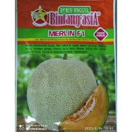 Melon Merlin 20g