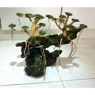 bonsai aquascape driftwood aquarium