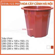 combo 10 chậu nhựa nâu E300 - KT24x22cm (E300) dày dặn