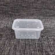 Thinwall Rectangular 250 ML + Lid Plastic Dessert Box Container Rec Container 250ml