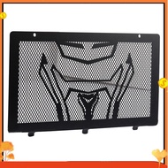 Motorcycle Radiator for 250CLX Motorcycle Accessories