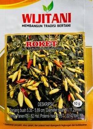 benih cabai rawit roket