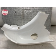 Little 14 dwarf swallow cub (dwarf swallow)