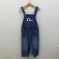 Evisu denim Overall Dress