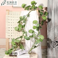 Simulation Party Photography Simulation Flower Decoration Wedding Rattan Greening Props Plant Money 