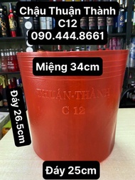 Combo 50 Cái Chậu Nhựa Mềm Thuận Thành -Mẫu C12 Đỏ