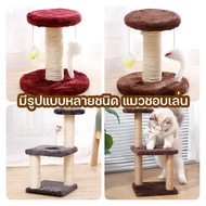 Cat Toys Scratchers Condo
