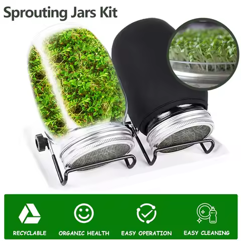 Seed Sprouting Jar Kit Durable Glass Bean Sprouts Growing Kit with Stainless Steel Screen Sprout Lid