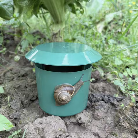 Plastic Snail Trap Cage, Reusable Snail Catcher Box, Garden Yard Farm Insect Trap Snail House Pest C