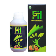 Obat Tumor Jinak Dan Ganas Tumor Alami Tumor Herbal Tradisional Tumor Otak Tumor Payudara Tumor Jan