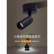 Black Small Angle Surface Mounted Spotlight Concentrating Beam 3 Degrees 8 Degrees 15 Degrees 24 Deg