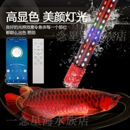 Fish Tank Lighting LED Waterproof Full Spectrum Plant Arowana Light Aquatic Plant Algae Burst Light 