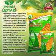 Benih Bibit Jagung Hibrida Pertiwi 3 / Bibit Jagung Pertiwi 3