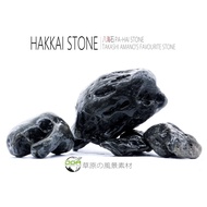 Aquascape JAPAN Hakkai Stone Amano stone(水草造景八海石）