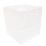 Ehime Paper Craft Wide Bottom Paper Bags Pack of 5