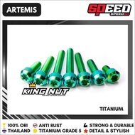 Titanium Probolt Bolt M 6x15 Thread 10x15 Grade 5 King Nut Thailand