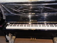 Yamaha u1 piano rent or sale  鋼琴租售