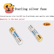 Slow-Melting Sterling Silver Fuse 5x20mm CD Amplifier Amplifier Audio HIFI Fuse Tube