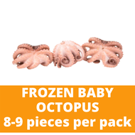 Baby Octopus 8-9 pcs (300g) 小章鱼 Sung Tao Frozen Seafood Octopus Sotong Kurita