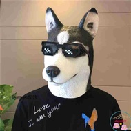 HUSKY dog mask with unique black decoration for Halloween, personality hacker style mask.