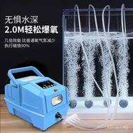 Car Charger12v High Power Fish Oxygenation Pump Car Charger Dual-use Oxygenator Lithium Battery Oxyg