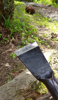 Dodos Sawit Tajam Kuat King Thai