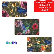 EZ-Link Card_Bird Series