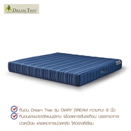 [New Collection] Dream Tree ที่นอนรุ่น Diary Dream High Density Foam หนา 9 นิ้ว แถมฟรีหมอนหนุน 2 ใบ 