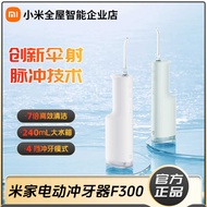 Xiaomi Electric Teeth Washer F300 Portable Teeth Washer Household Teeth Cleaning Oral Deep Cleaning