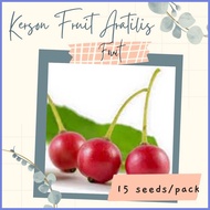 ▧  ❂ KERSON FRUIT Seeds (15 seeds) for Planting / Gardening