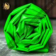 HIJAU Peles Veles DRAGONFLY Plain Satin Fabric (Fuji Green) multi-purpose lining fabric, travel muke