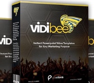 VIDIBEE 2.0 VIDEO TEMPLATE POWERPOINT