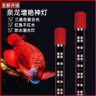 Quanlong Fish Tank Light Lighting led Waterproof Diving Light Arowana Dedicated Aquarium led Light T